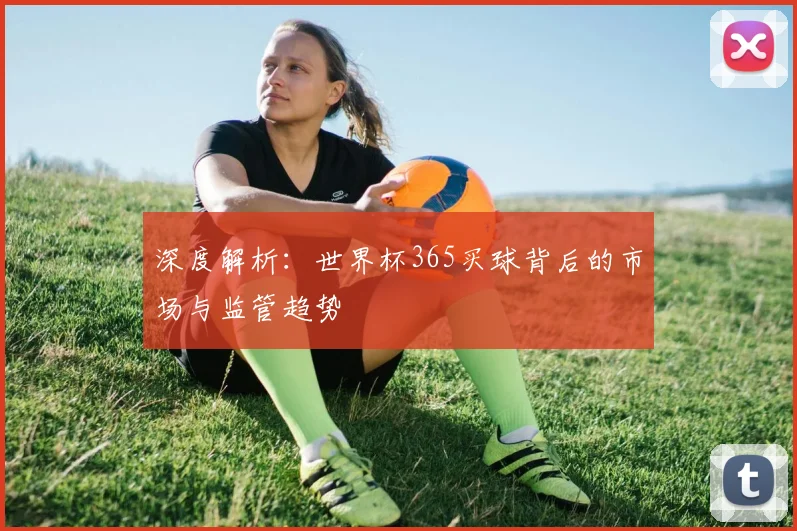 深度解析：世界杯365买球背后的市场与监管趋势