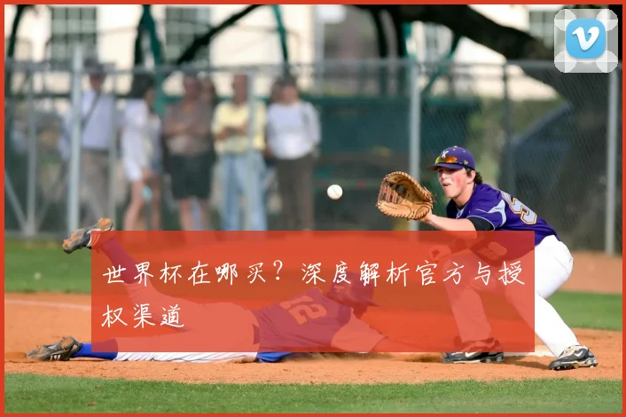 世界杯在哪买？深度解析官方与授权渠道