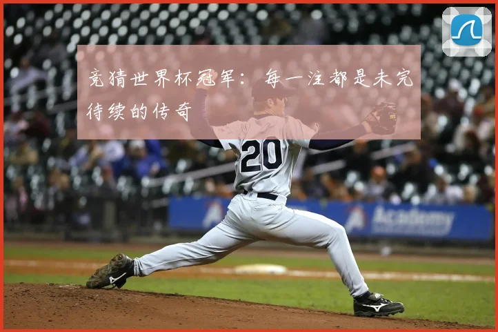 竞猜世界杯冠军：每一注都是未完待续的传奇