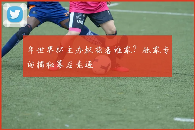 年世界杯主办权花落谁家？独家专访揭秘幕后竞逐