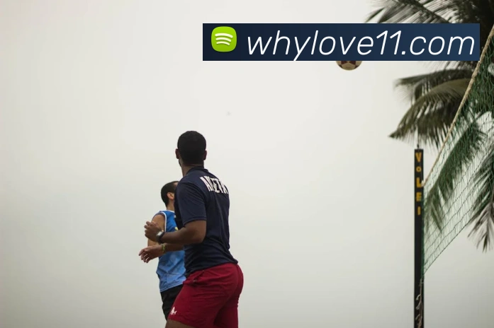 leyu乐鱼官方官网服务体系